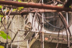 homeowner listening to noisy air conditioner indoors near thermostat